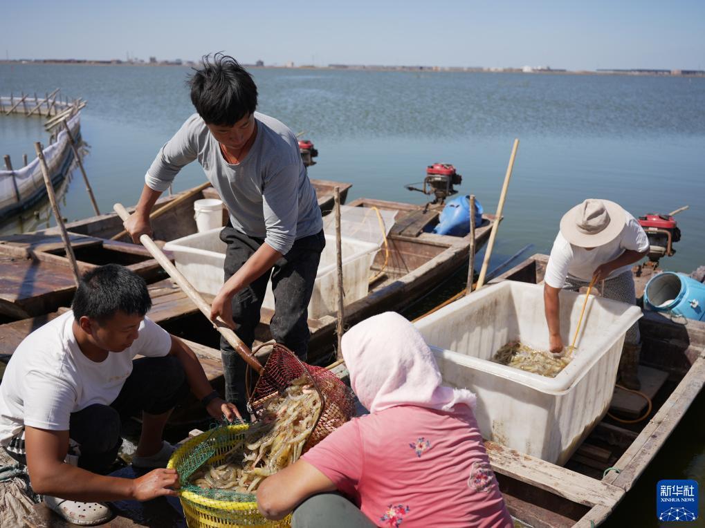 民间游戏娱乐网址